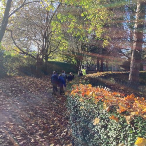 Stamford Park - Litter picking