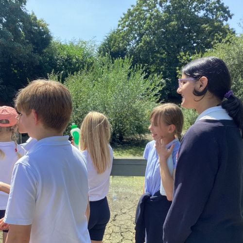 Children's Adventure Farm Trust - End of Year Visit
